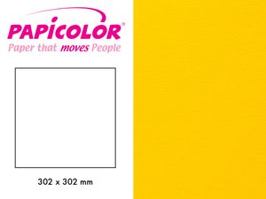 Hovedbilde Papicolor 302x302mm -  910 ...