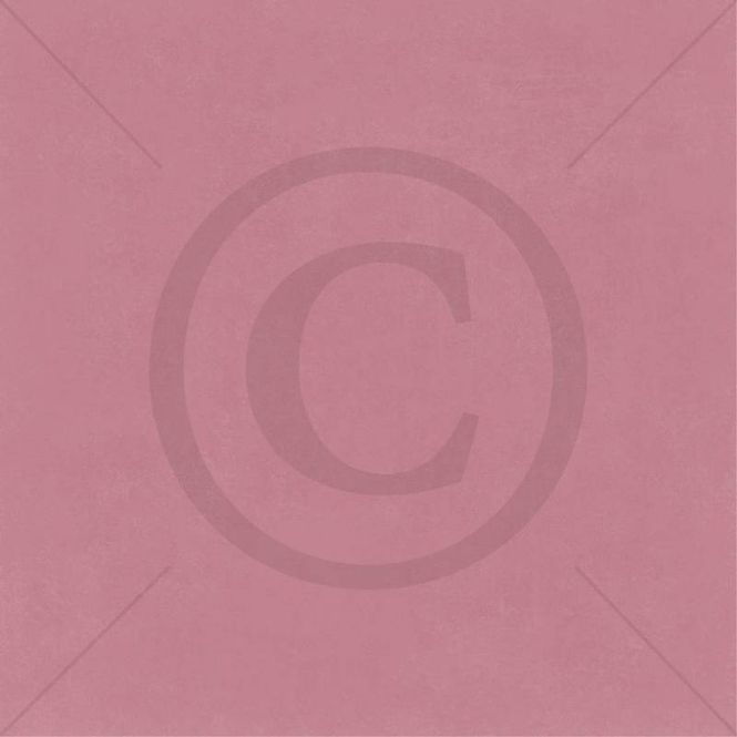 Hovedbilde PD 1900029 ROSA